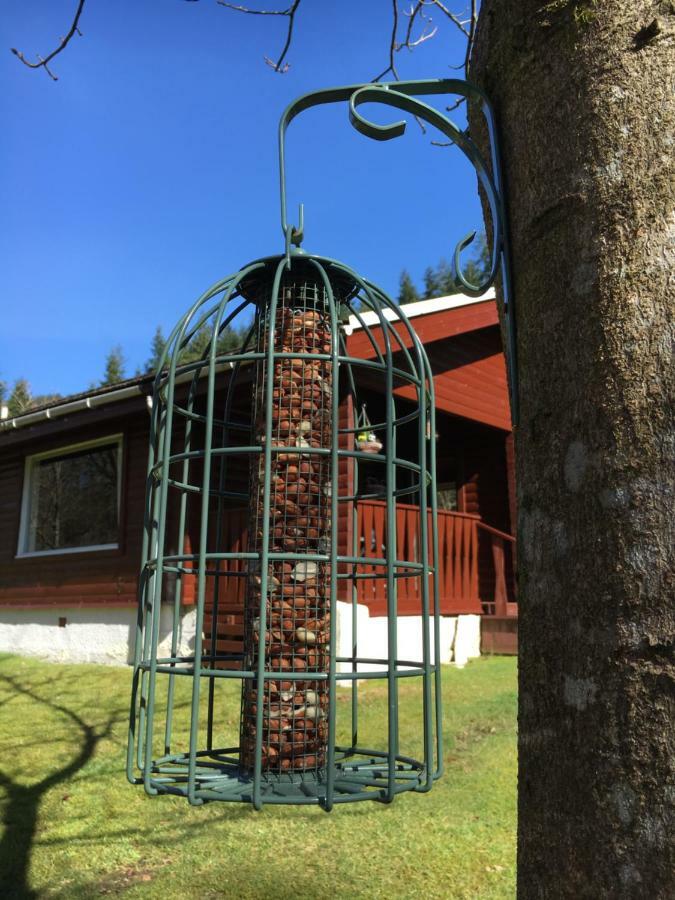 Stravaigin Lodge Данун Екстериор снимка